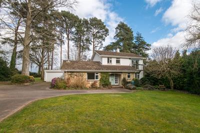 Moorlands, West Hill
