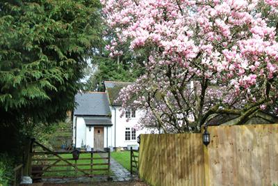 Summer Court Cottage, West Hill, Ottery Saint Mary