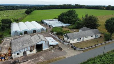 Dunkeswell, Honiton