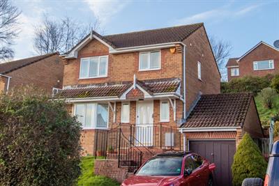 Claremont Field, Ottery St Mary