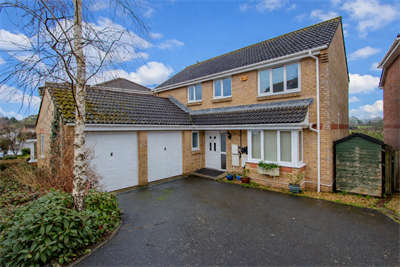 Claremont Field, Ottery St Mary