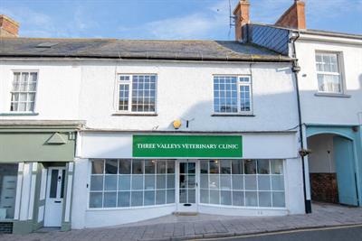 Broad Street, Ottery St Mary