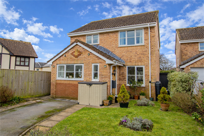 The Signals, Feniton