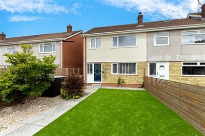 Coeden Dal, Pentwyn, Cardiff