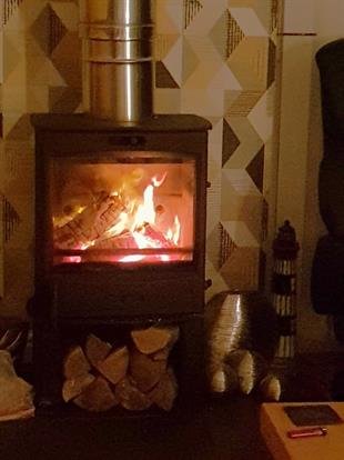 The Log Burner