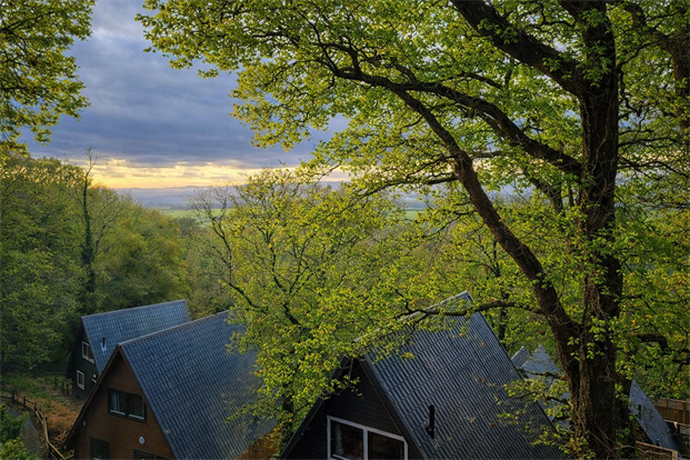 View From Balcony