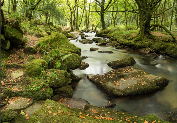 Dartmoor Close By