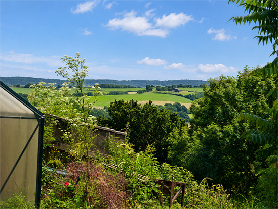 Views From Garden