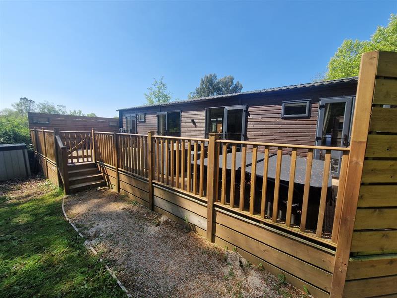 Holmans Wood, Newton Abbot