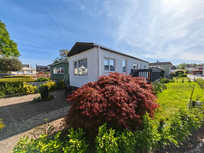 Second Avenue, Newport Park, Exeter