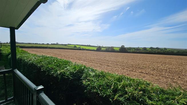 View from Decking