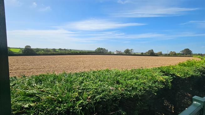 View from Decking