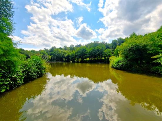 Fishing Lakes