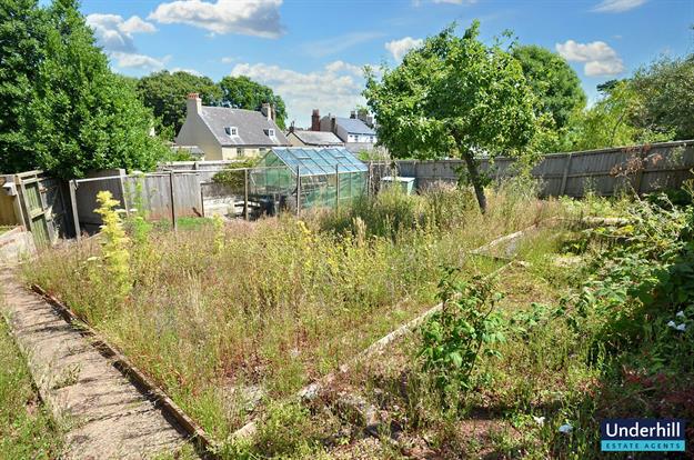 Vegetable Garden and Greenhouse