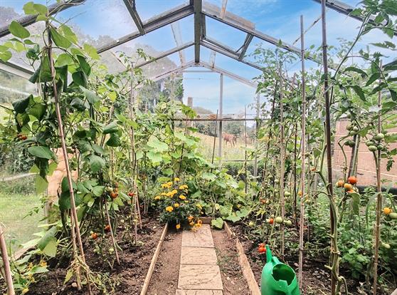 Green House
