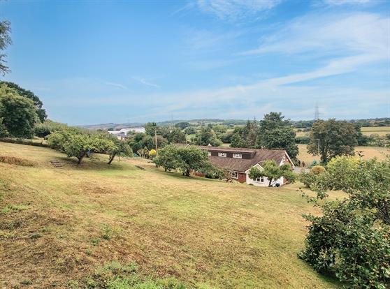 Gardens & Views